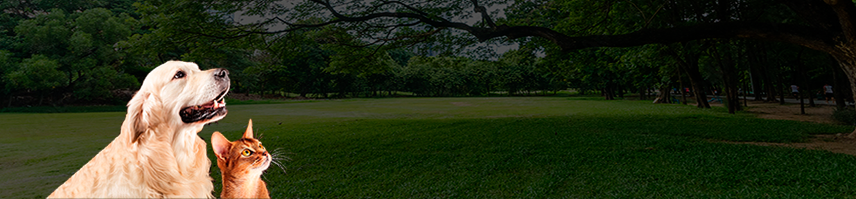 Petcare Banner1